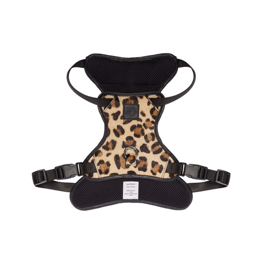 Harness - Mocha