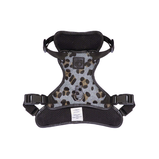 Harness - Arlo